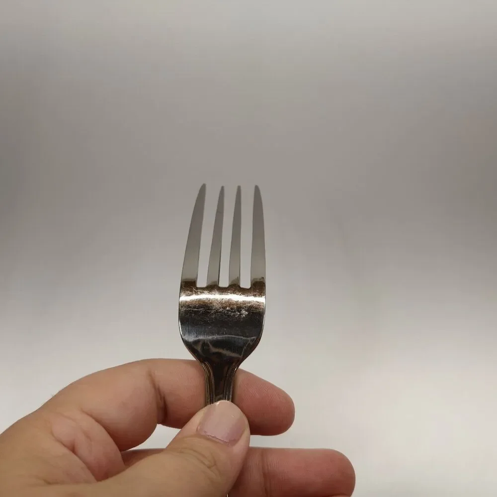 Wallace 18/10 Stainless Steel Dinner Fork Ornate Scroll Shell Flatware 8.5